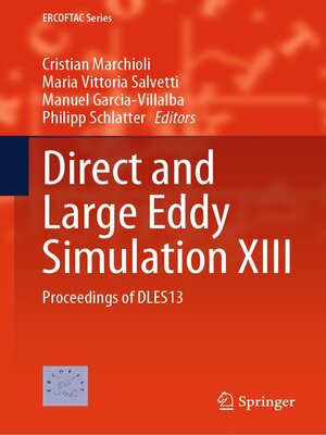 cover image of Direct and Large Eddy Simulation XIII